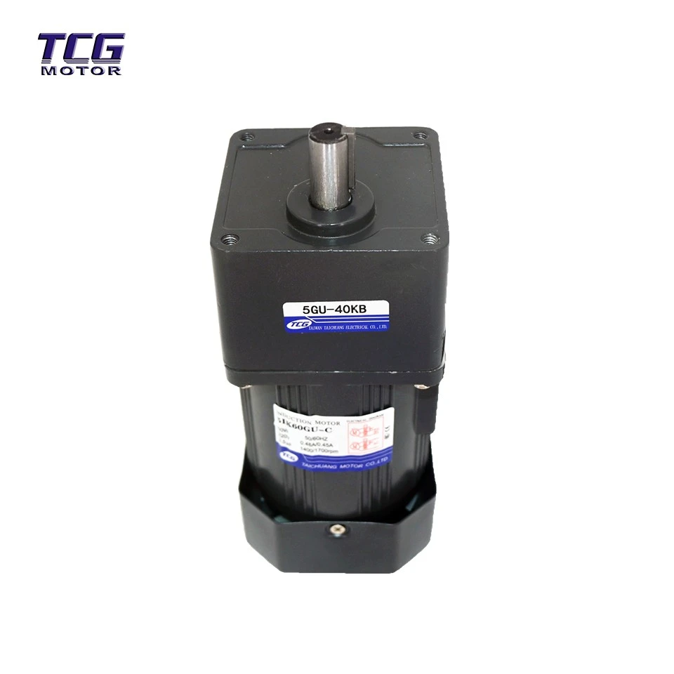 Ac Gear Motor 100rpm factory