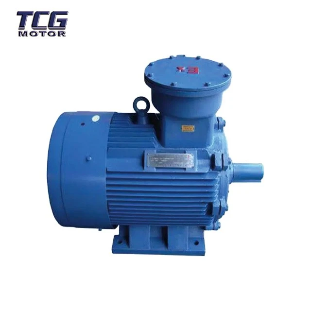High voltage explosion proof motor