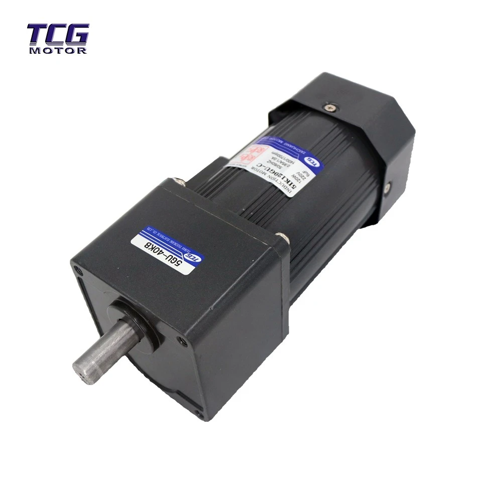 low rpm micro motor